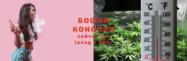 ГАЛЛЮЦИНОГЕННЫЕ ГРИБЫ Кулебаки