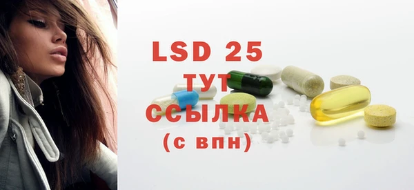 ГАЛЛЮЦИНОГЕННЫЕ ГРИБЫ Кулебаки