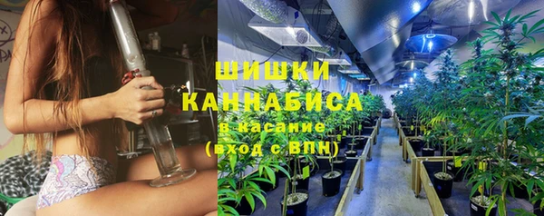 ГАЛЛЮЦИНОГЕННЫЕ ГРИБЫ Кулебаки
