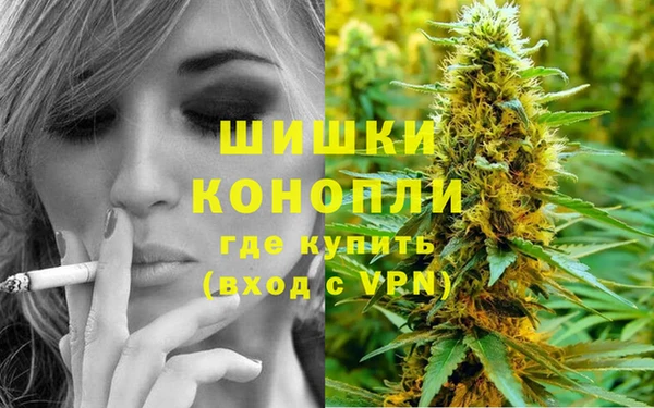 мяу мяу мука Кукмор
