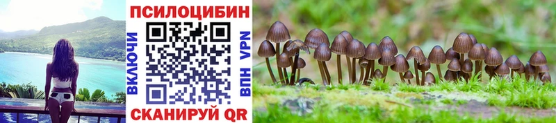 Купить где  Элиста  Псилоцибиновые грибы мухоморы 